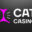 Логотип казино CatCasino